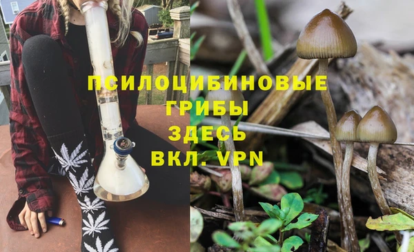 тгк Алексин
