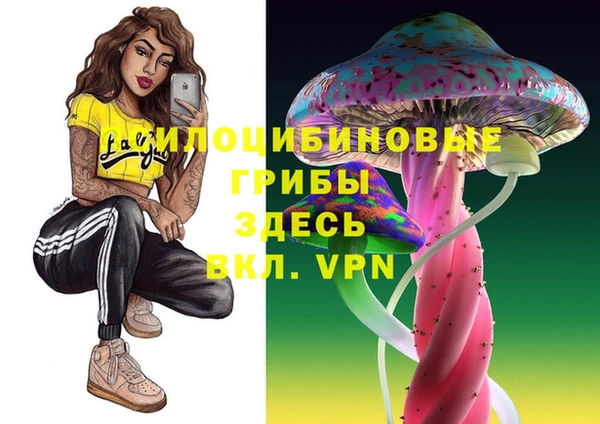 ALPHA-PVP Алексеевка