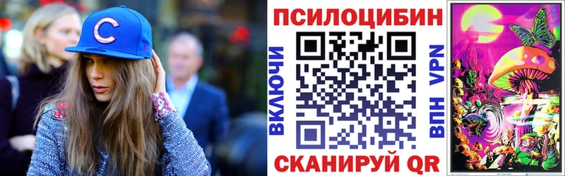 Псилоцибиновые грибы MAGIC MUSHROOMS  Кувшиново 